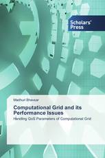 Computational Grid and its Performance Issues