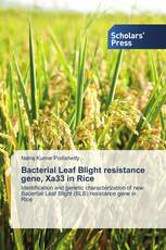 Bacterial Leaf Blight resistance gene, Xa33 in Rice
