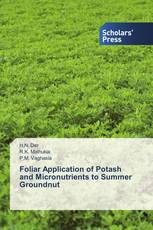 Foliar Application of Potash and Micronutrients to Summer Groundnut