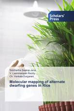 Molecular mapping of alternate dwarfing genes in Rice