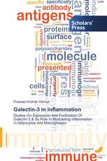 Galectin-3 in inflammation