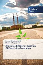 Allocative Efficiency Analysis Of Electricity Generation