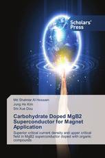 Carbohydrate Doped MgB2 Superconductor for Magnet Application