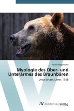 Myologie des Ober- und Unterarmes des Braunbären