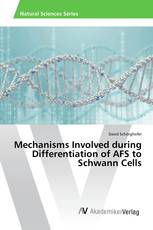 Mechanisms Involved during Differentiation of AFS to Schwann Cells