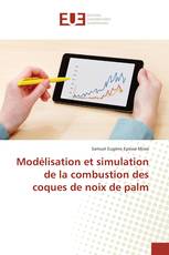 Modélisation et simulation de la combustion des coques de noix de palm