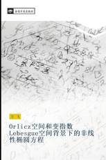 Orlicz空间和变指数Lebesgue空间背景下的非线性椭圆方程