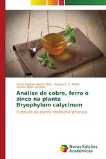 Análise de cobre, ferro e zinco na planta Bryophylum calycinum