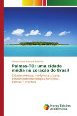 Palmas-TO: uma cidade média no coração do Brasil