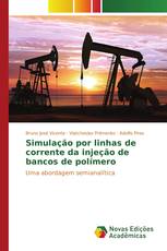 Simulação por linhas de corrente da injeção de bancos de polímero