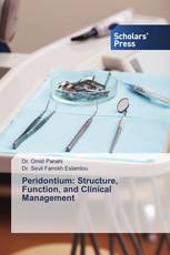 Peridontium: Structure, Function, and Clinical Management