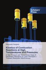 Kinetics of Combustion Reactions at High Temperatures and Pressures