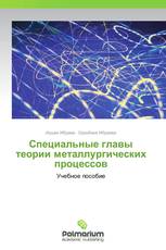 Специальные главы теории металлургических процессов