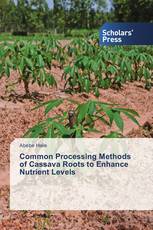 Common Processing Methods of Cassava Roots to Enhance Nutrient Levels