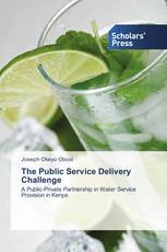 The Public Service Delivery Challenge