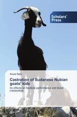 Castration of Sudanese Nubian goats' kids