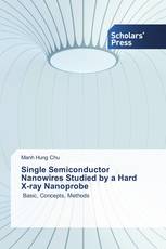 Single Semiconductor Nanowires Studied by a Hard X-ray Nanoprobe