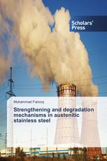 Strengthening and degradation mechanisms in austenitic stainless steel