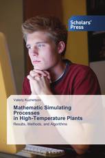 Mathematic Simulating Processes in High-Temperature Plants