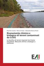 Risanamento chimico e biologico di terreni contaminati da Cr(VI)‏