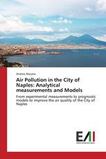 Air Pollution in the City of Naples: Analytical measurements and Models