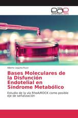 Bases Moleculares de la Disfunción Endotelial en Síndrome Metabólico