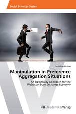 Manipulation in Preference Aggregation Situations