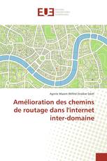 Amélioration des chemins de routage dans l'internet inter-domaine