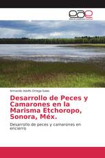 Desarrollo de Peces y Camarones en la Marisma Etchoropo, Sonora, Méx.