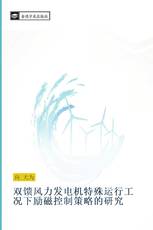 双馈风力发电机特殊运行工况下励磁控制策略的研究