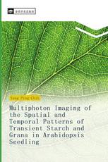 Multiphoton Imaging of the Spatial and Temporal Patterns of Transient Starch and Grana in Arabidopsis Seedling