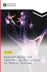 Neurodynamics and Information Processing in Neural Systems