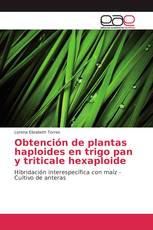 Obtención de plantas haploides en trigo pan y triticale hexaploide