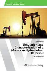 Simulation and Characterization of a Moroccan Hydrocarbon Reservoir