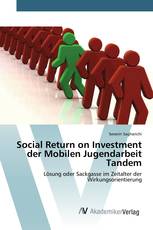 Social Return on Investment der Mobilen Jugendarbeit Tandem