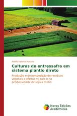 Culturas de entressafra em sistema plantio direto