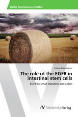 The role of the EGFR in intestinal stem cells