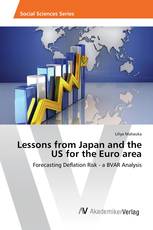 Lessons from Japan and the US for the Euro area