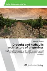 Drought and hydraulic architecture of grapevines