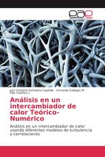 Análisis en un intercambiador de calor Teórico-Numérico