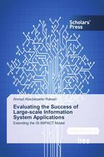 Evaluating the Success of Large-scale Information System Applications