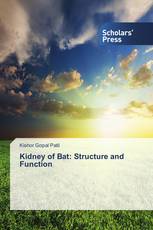 Kidney of Bat: Structure and Function