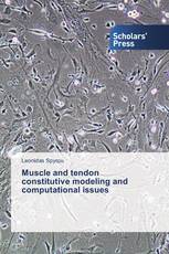Muscle and tendon constitutive modeling and computational issues