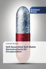 Self-Assembled Soft Matter Nanostructures for Encapsulation