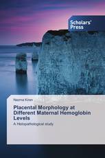 Placental Morphology at Different Maternal Hemoglobin Levels