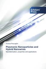 Plasmonic Nanoparticles and Hybrid Nanowires