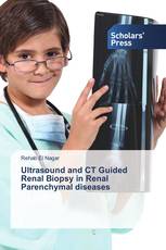 Ultrasound and CT Guided Renal Biopsy in Renal Parenchymal diseases