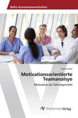 Motivationsorientierte Teamanalsye