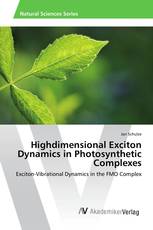 Highdimensional Exciton Dynamics in Photosynthetic Complexes