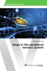 Nogo in the peripheral nervous system